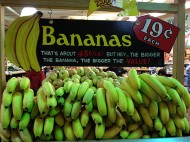 こちらは「ふつうバナナ」。
